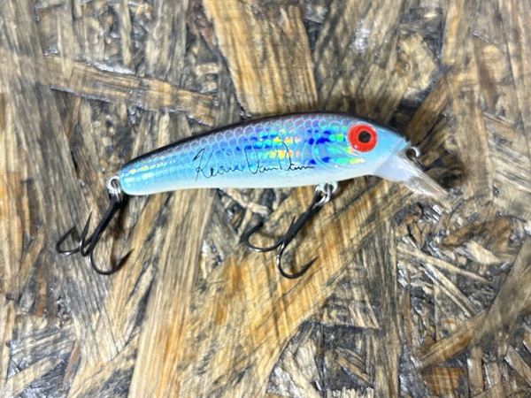 ロングa13a カラー名不明