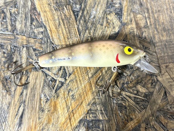 ロングa13a カラー名431