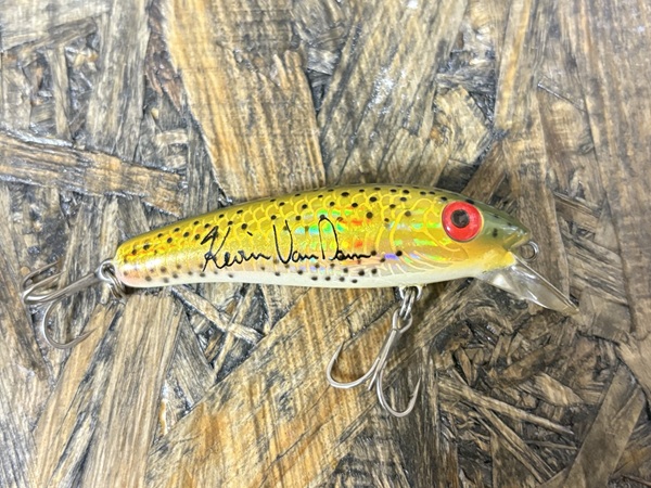 ロングa13a カラー名不明