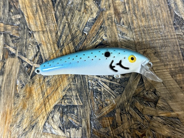 ロングa13a カラー名不明