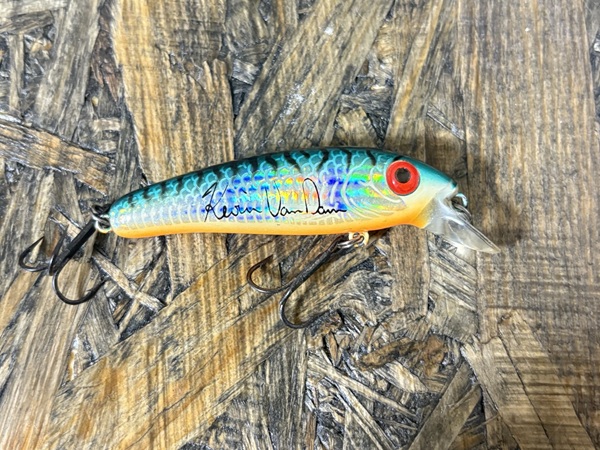 ロングa13a カラー名不明