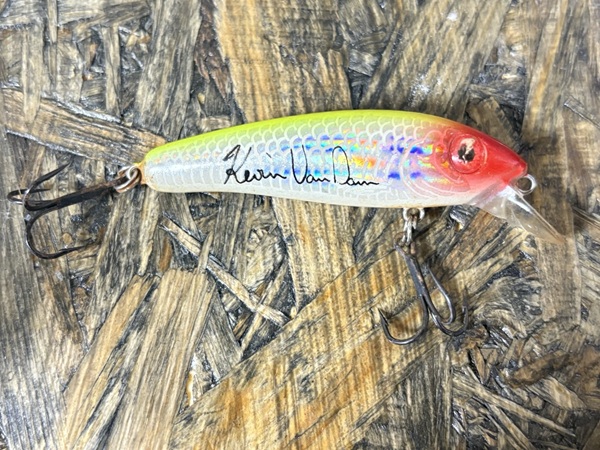 ロングa13a カラー名不明