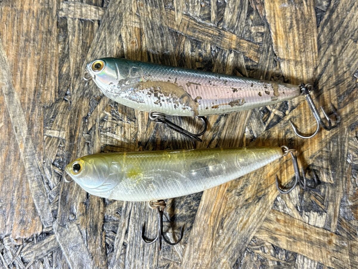 サミーの使い方完全ガイド｜ドッグウォークのコツと釣れる理由