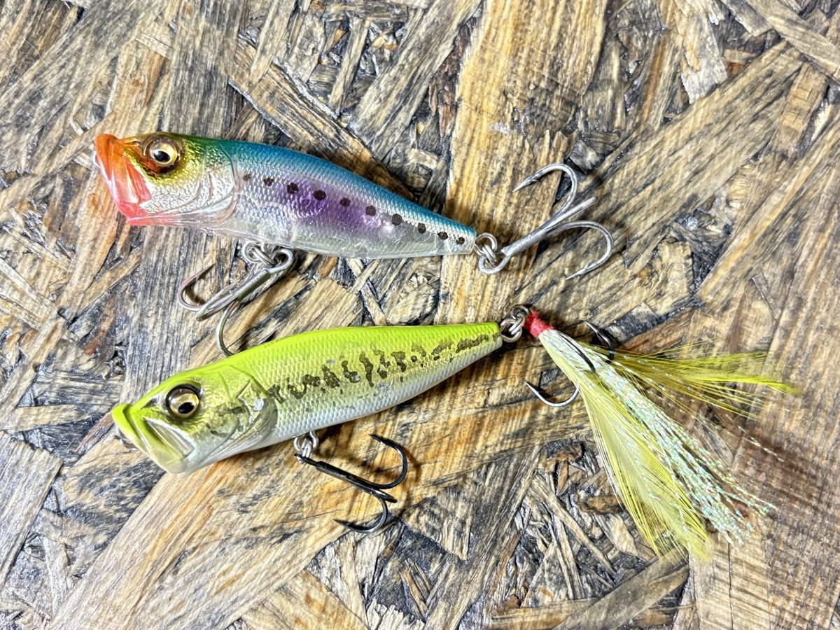 メガバス ポップXはなぜ釣れる？釣れない日こそ使うべき理由
